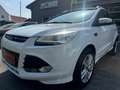 Ford Kuga 2.0 TDCI  Individual Bi-Xenon/PANO/4X4 Weiß - thumbnail 1