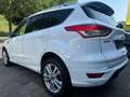 Ford Kuga 2.0 TDCI  Individual Bi-Xenon/PANO/4X4 Weiß - thumbnail 4