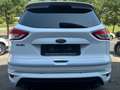 Ford Kuga 2.0 TDCI  Individual Bi-Xenon/PANO/4X4 Weiß - thumbnail 5