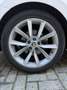 Skoda Superb Wagon 2.0 tdi Ambition 150cv dsg - thumbnail 13