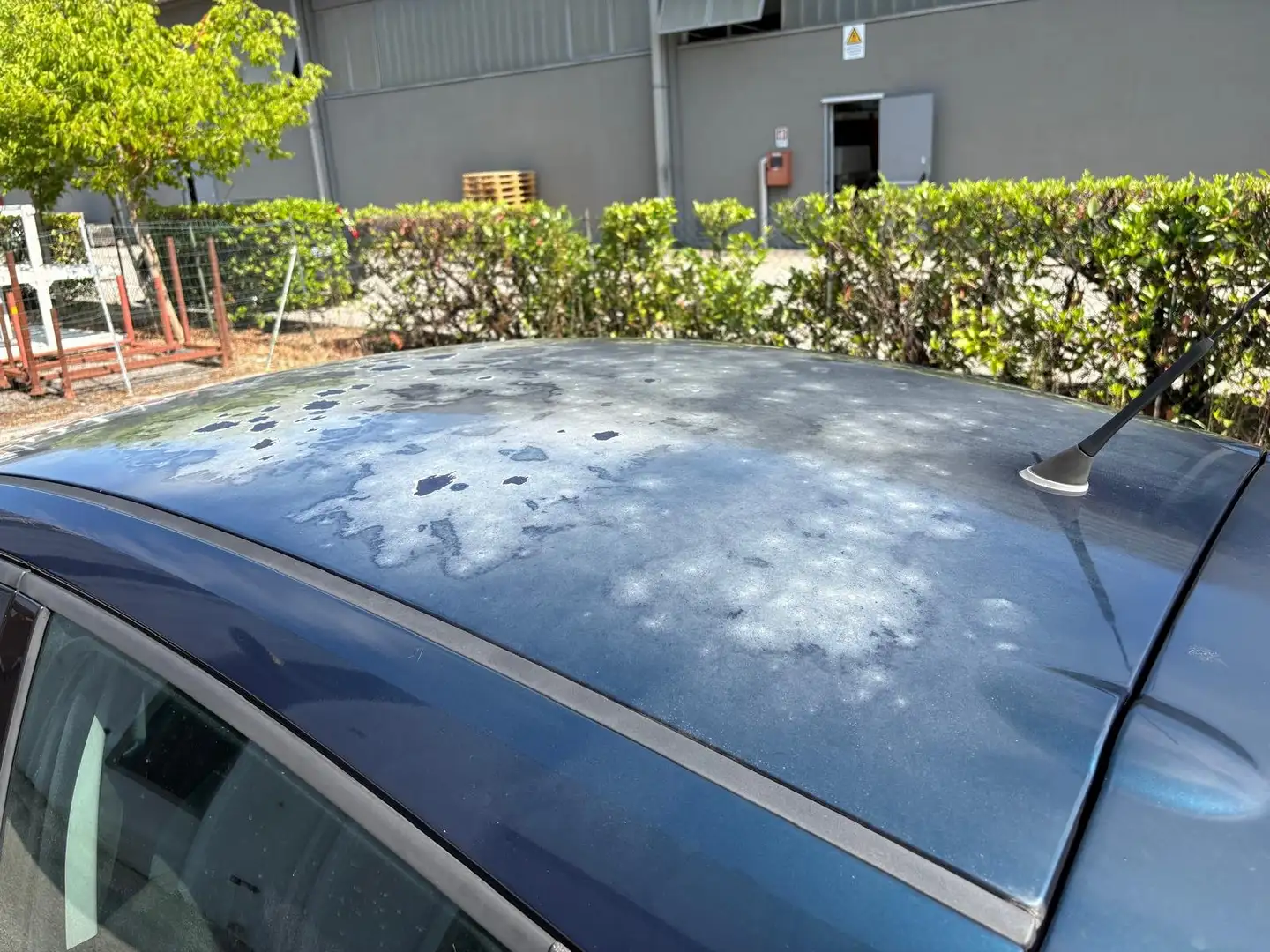Lancia Ypsilon 1.2 Gold ecochic GPL 5 Posti Blu/Azzurro - 2