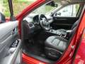 Mazda CX-5 2.5 SkyActiv-G 194 Luxury / Schuifdak / Trekhaak Rot - thumbnail 5