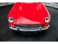 MG V8 Rouge - thumbnail 15
