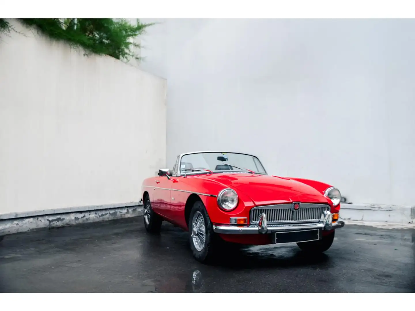 MG V8 Rouge - 1