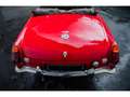 MG V8 Rouge - thumbnail 19