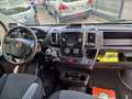 Fiat Ducato 2.300 CELLA FRCX Bianco - thumbnail 12