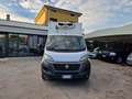 Fiat Ducato 2.300 CELLA FRCX Bianco - thumbnail 2