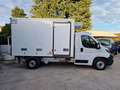Fiat Ducato 2.300 CELLA FRCX Bianco - thumbnail 4