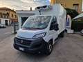 Fiat Ducato 2.300 CELLA FRCX Bianco - thumbnail 1