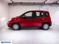 Fiat Panda 1.0 FireFly S&S Hybrid Pop Rosso - thumbnail 5