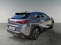 Lexus UX 250h LEXUS 2,0 UX250H F-SPORT 4x4 Luxury- Premiumpaket Grau - thumbnail 5