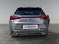Lexus UX 250h LEXUS 2,0 UX250H F-SPORT 4x4 Luxury- Premiumpaket Grau - thumbnail 4