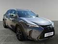 Lexus UX 250h LEXUS 2,0 UX250H F-SPORT 4x4 Luxury- Premiumpaket Grau - thumbnail 7