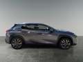 Lexus UX 250h LEXUS 2,0 UX250H F-SPORT 4x4 Luxury- Premiumpaket Grau - thumbnail 6