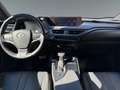 Lexus UX 250h LEXUS 2,0 UX250H F-SPORT 4x4 Luxury- Premiumpaket Grau - thumbnail 10