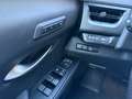 Lexus UX 250h LEXUS 2,0 UX250H F-SPORT 4x4 Luxury- Premiumpaket Grau - thumbnail 23