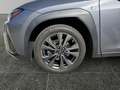 Lexus UX 250h LEXUS 2,0 UX250H F-SPORT 4x4 Luxury- Premiumpaket Grau - thumbnail 15