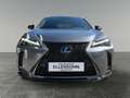 Lexus UX 250h LEXUS 2,0 UX250H F-SPORT 4x4 Luxury- Premiumpaket Grau - thumbnail 8