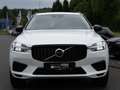 Volvo XC60 Recharge T8 AWD R-Design Expression PANO Blanc - thumbnail 3