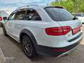 Audi A4 allroad A4 Allroad 2,0 TDI quattro Daylight Weiß - thumbnail 4