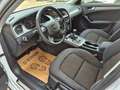Audi A4 allroad A4 Allroad 2,0 TDI quattro Daylight Weiß - thumbnail 8