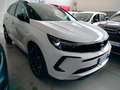 Opel Grandland 1.5 diesel Ecotec aut. Ultimate Bianco - thumbnail 3