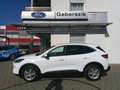 Ford Kuga 2,5 Duratec FHEV Titanium Aut. Weiß - thumbnail 2