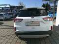 Ford Kuga 2,5 Duratec FHEV Titanium Aut. Weiß - thumbnail 4