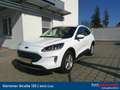 Ford Kuga 2,5 Duratec FHEV Titanium Aut. Weiß - thumbnail 1