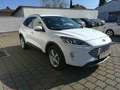 Ford Kuga 2,5 Duratec FHEV Titanium Aut. Weiß - thumbnail 8