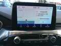 Ford Kuga 2,5 Duratec FHEV Titanium Aut. Weiß - thumbnail 16
