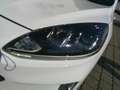 Ford Kuga 2,5 Duratec FHEV Titanium Aut. Weiß - thumbnail 9