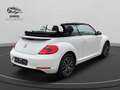 Volkswagen Beetle Cabriolet Allstar BMT *Kamera*1Hand* Bílá - thumbnail 6