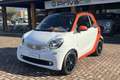 smart forTwo fortwo 70 1.0 twinamic Sport edition 1 Weiß - thumbnail 1