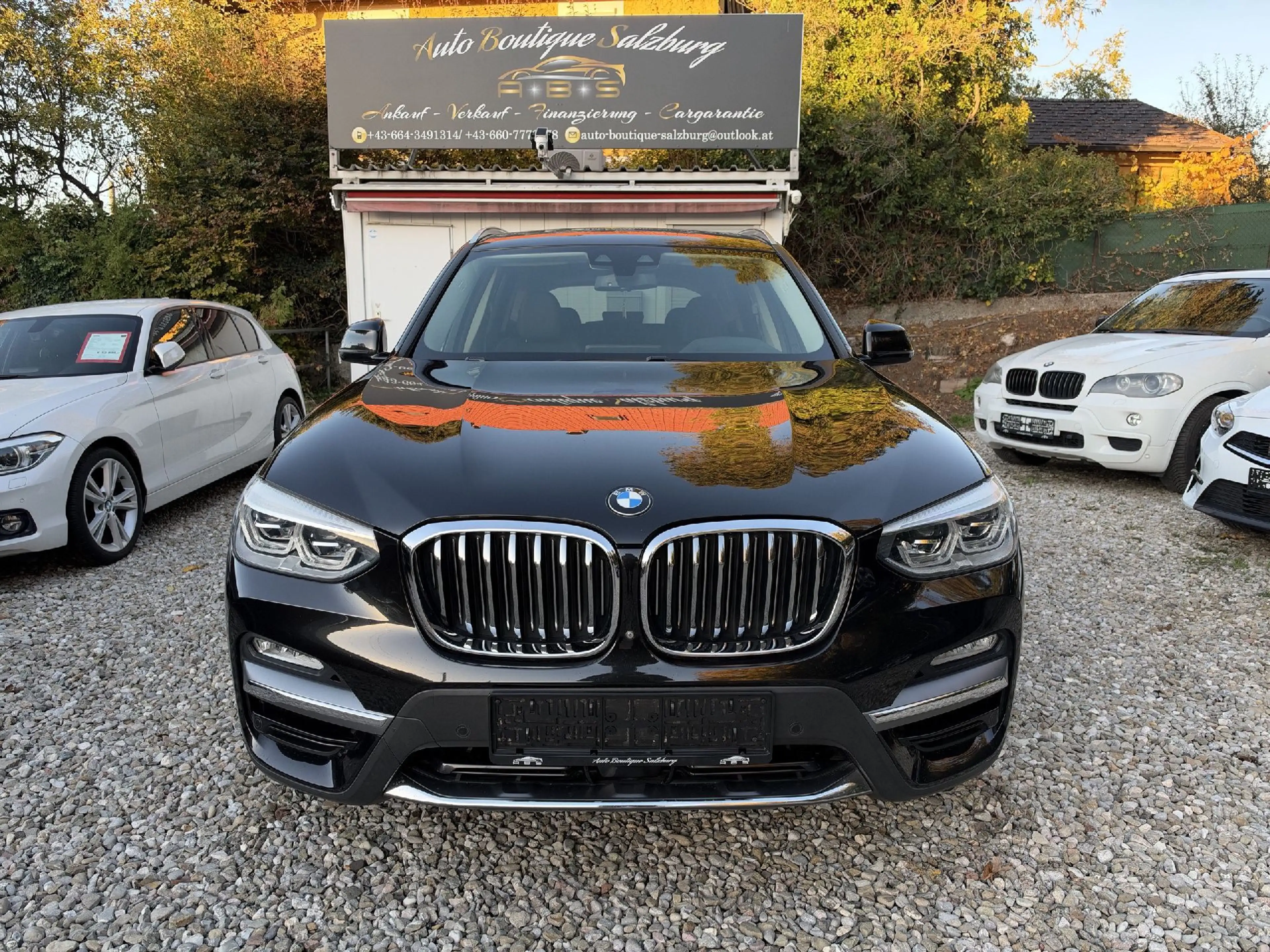 BMW X3 xDrive30d Luxury Line — photo 8