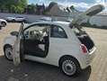 Fiat 500 Lounge*Pano*PDC*ALU Weiß - thumbnail 14