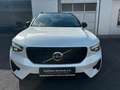 Volvo XC40 T5 Ultimate Plug Alcantara,Pano360°BLIS,ACC Weiß - thumbnail 2