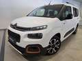 Citroen Berlingo Talla XL BlueHDi 100 S&S Shine (7 plazas) Blanco - thumbnail 18