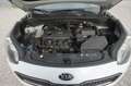 Kia Sportage 1.6 GDI Edition 7 2WD |AHK| |Tempomat| Blanc - thumbnail 14