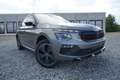 Skoda Kamiq 1.0TSI Monte Carlo DSG Navi/MirrorLi Matrix Gris - thumbnail 1
