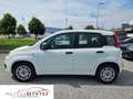 Fiat Panda 1.3 MJT S&S Easy Van 4 posti/MOTORE NUOVO! Blanc - thumbnail 3