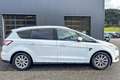 Ford S-Max S-MAX Titanium 2.0 TDCi AWD Auto-Start/Stop Aut. Titanium Weiß - thumbnail 6