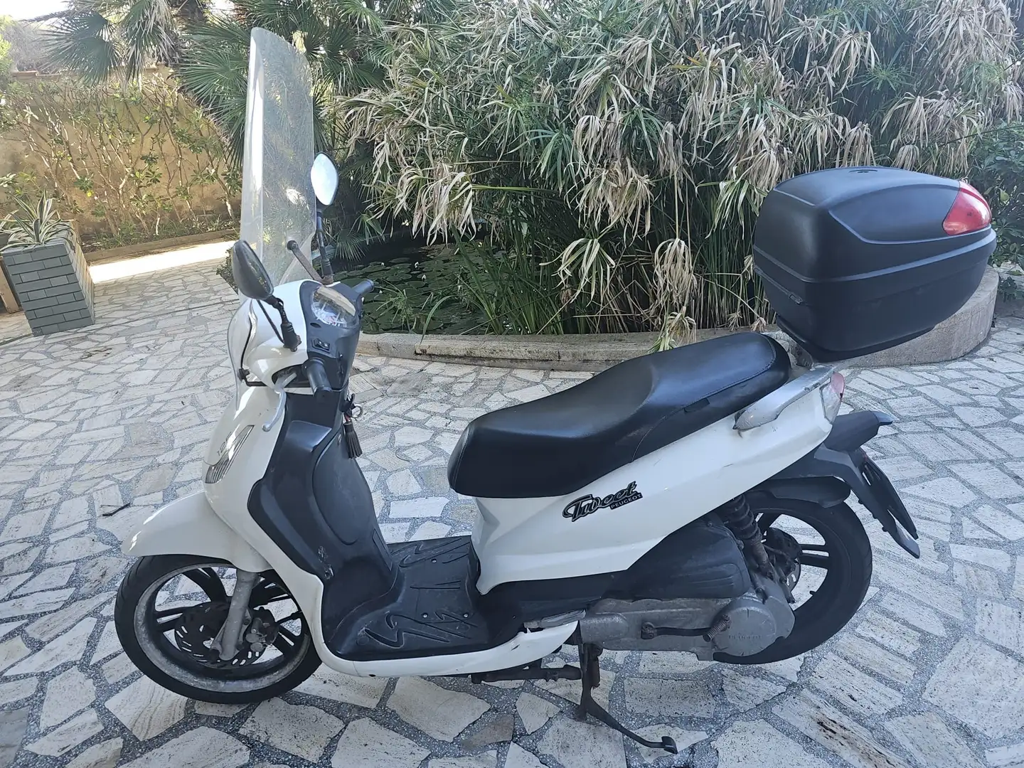 Peugeot Tweet 125 Bianco - 1