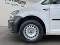 Volkswagen Caddy 2.0TDI 4Motion 4X4 ALLESTITO Bianco - thumbnail 15