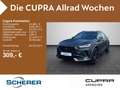 CUPRA Formentor VZ 2.0 TSI 4Drive OPF Navi, Beats, Mem Grau - thumbnail 1