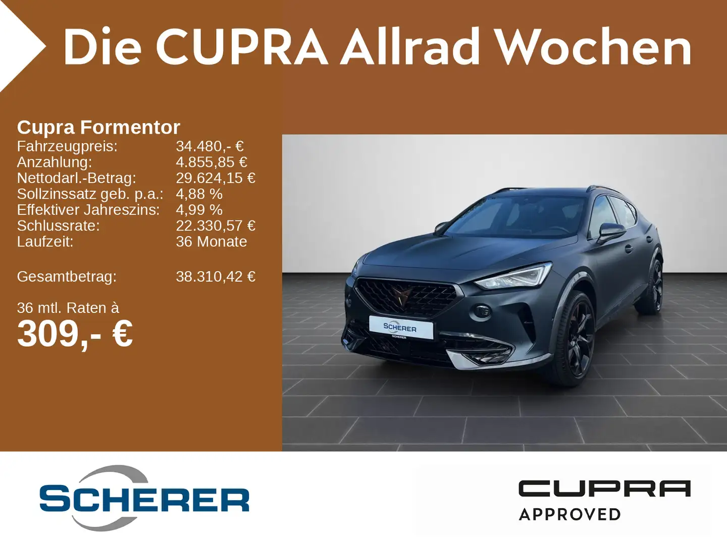 CUPRA Formentor VZ 2.0 TSI 4Drive OPF Navi, Beats, Mem Grau - 1