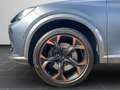 CUPRA Formentor VZ 2.0 TSI 4Drive OPF Navi, Beats, Mem Grau - thumbnail 8