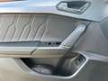 CUPRA Formentor VZ 2.0 TSI 4Drive OPF Navi, Beats, Mem Grau - thumbnail 13