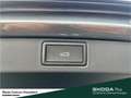 Skoda Scala Drive DSG Fahrassistenz-Paket Komfort-Paket Plus A Grau - thumbnail 10