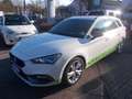 SEAT Leon Sportstourer FR 2.0 TDI DSG Weiß - thumbnail 1